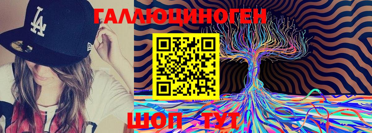 Галлюциногенные грибы GOLDEN TEACHER  Вход с VPN  дарнет шоп  Галлюциногенные грибы GOLDEN TEACHER  Красноярск 